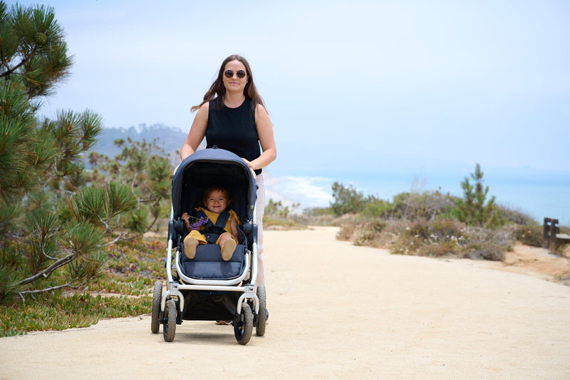 Bumbleride Era Stroller