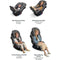 Nuna EXEC All-in-One Car Seat