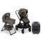 Nuna DEMI Next with Rider Board , Bassinet + Stand and PIPA aire RX Travel System